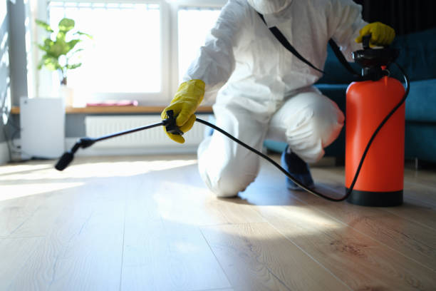 Reliable Odor Removal contractor in New Hampton, NH by Trauma Clean Pros